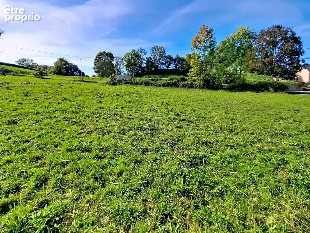 Terrain de 1000 m² constructible et viabilisé, à 5 minutes de Lourdes - photo 4