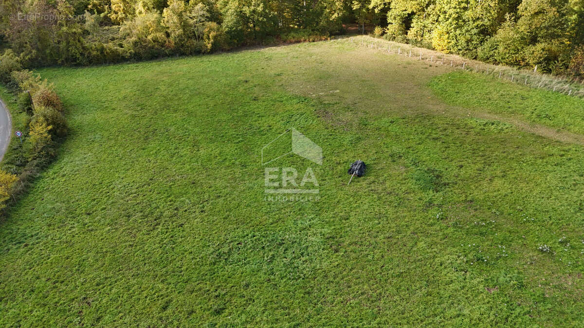 Terrain à SAINT-HILAIRE-SUR-ERRE