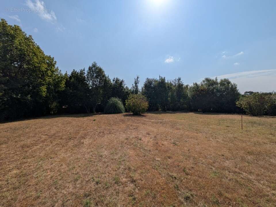 Terrain 1500 m² à Gradignan  - photo 2