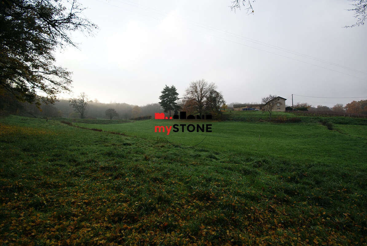 Terrain à SAINT-AMOUR-BELLEVUE