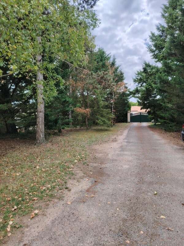 Maison à NEUVILLE-DE-POITOU