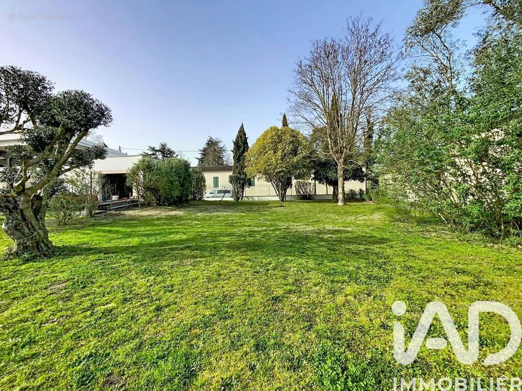 Photo 1 - Terrain à CERONS