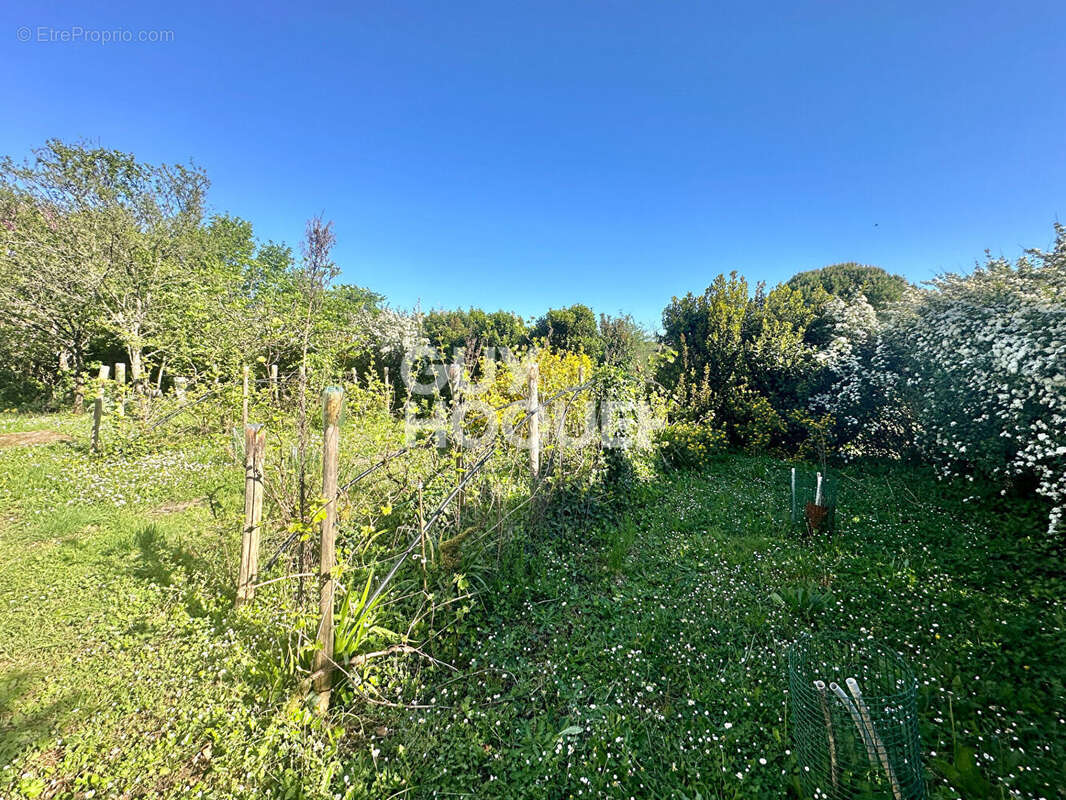 Maison à NIEUL-SUR-L'AUTISE