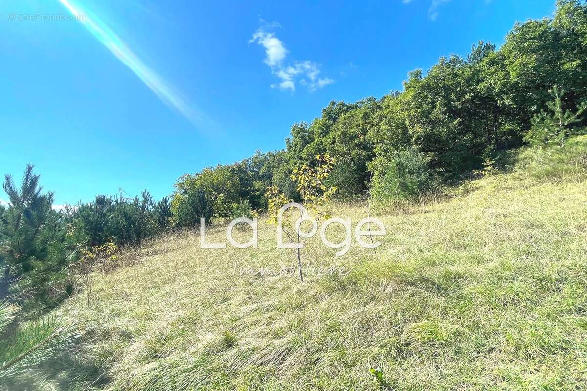 Terrain à LA FREISSINOUSE
