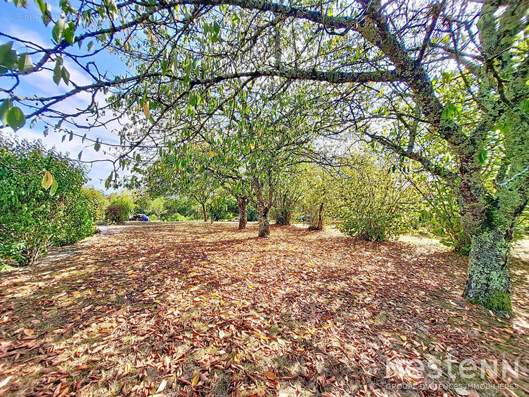 A Vendre Maison en pierre de 79 m² avec dépendances de 116 m² dans un hameau de Lagraulet-du-Gers - photo 16