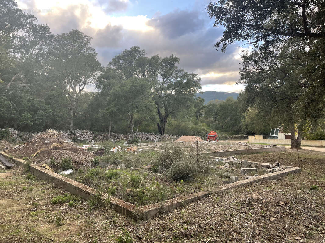 Maison à PORTO-VECCHIO