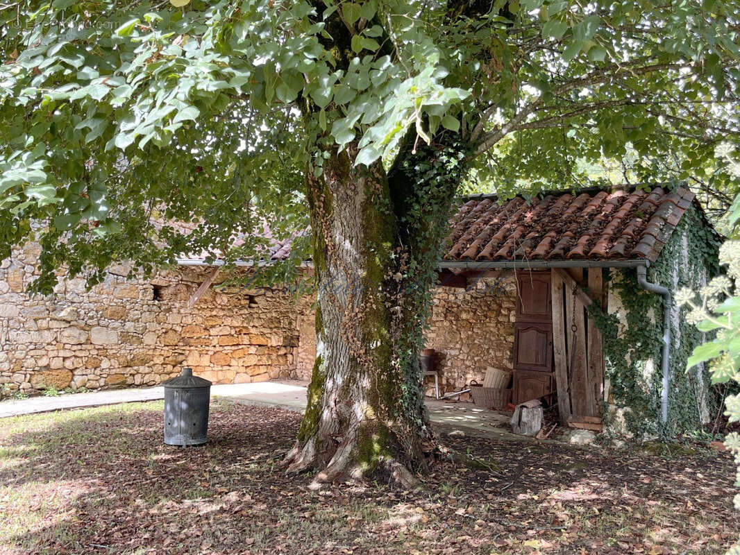Maison à PAUSSAC-ET-SAINT-VIVIEN