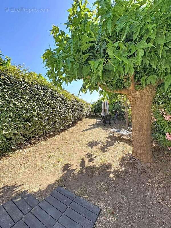 Vente Appartement Lumio(20260) 265 000ï¿œ - photo 3