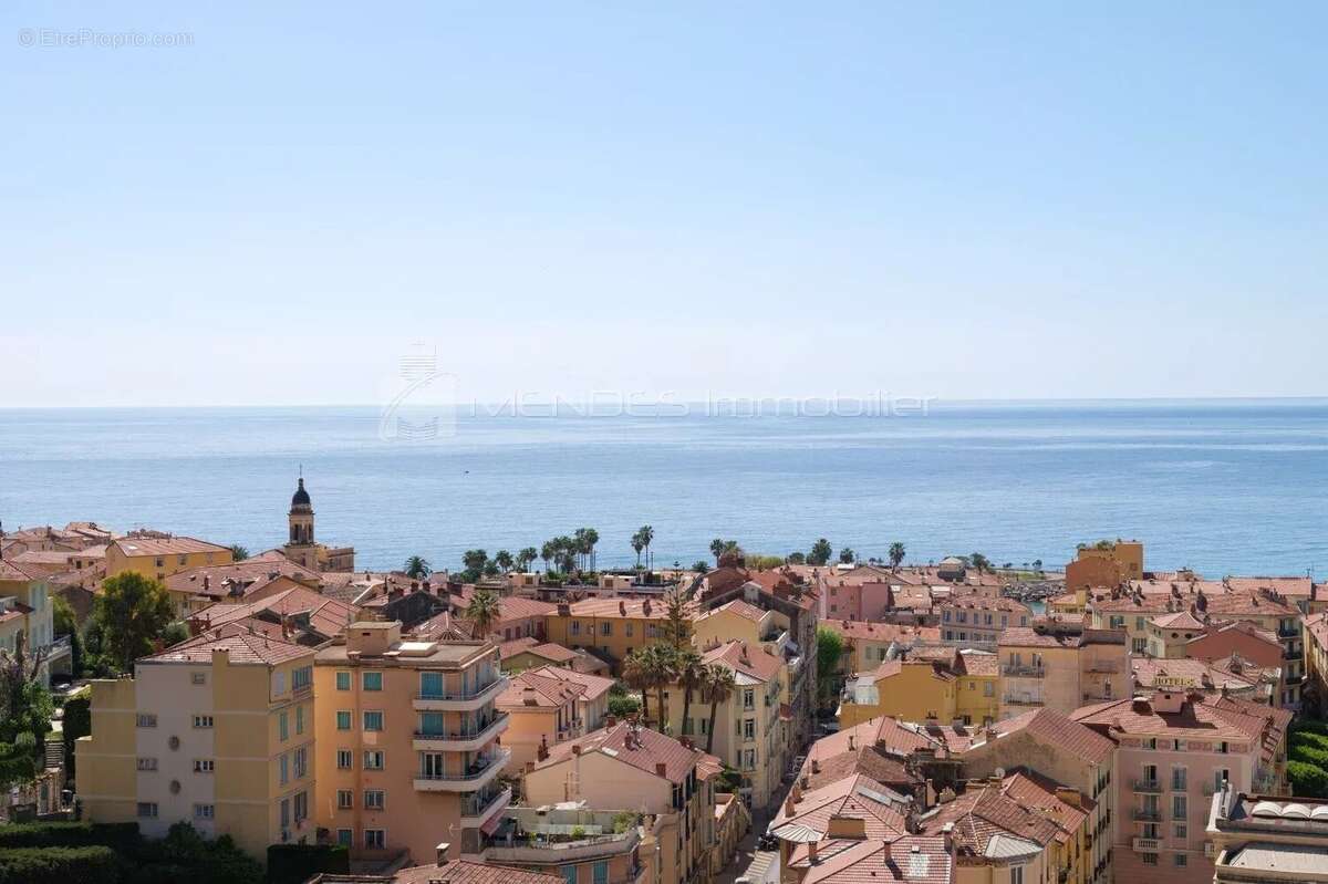 Vue panoramique mer 3 pieces terrasse a menton - photo 19
