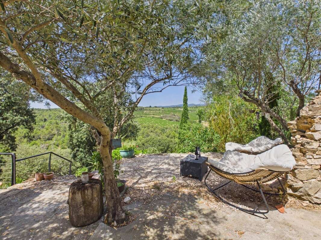 Propriété de caractère avec 2 maisons d'amis, 2 piscines et 9 hectares au cœur du Minervois - photo 24