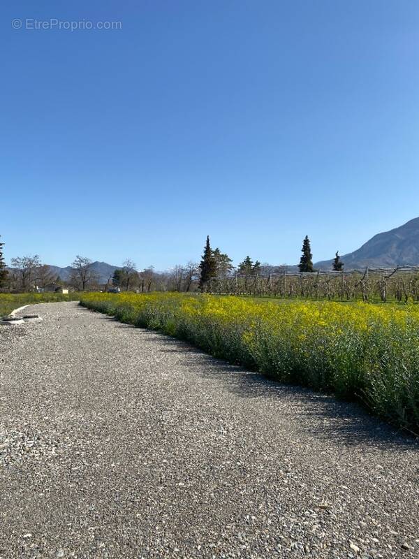 Terrain à VENTAVON