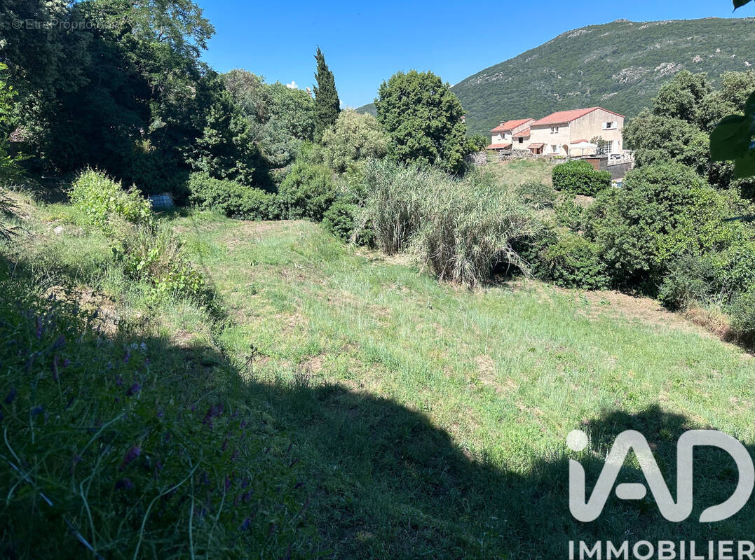 Photo 1 - Terrain à PIETROSELLA