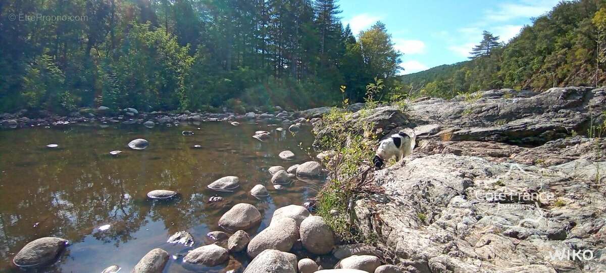 Maison à CHAMBORIGAUD