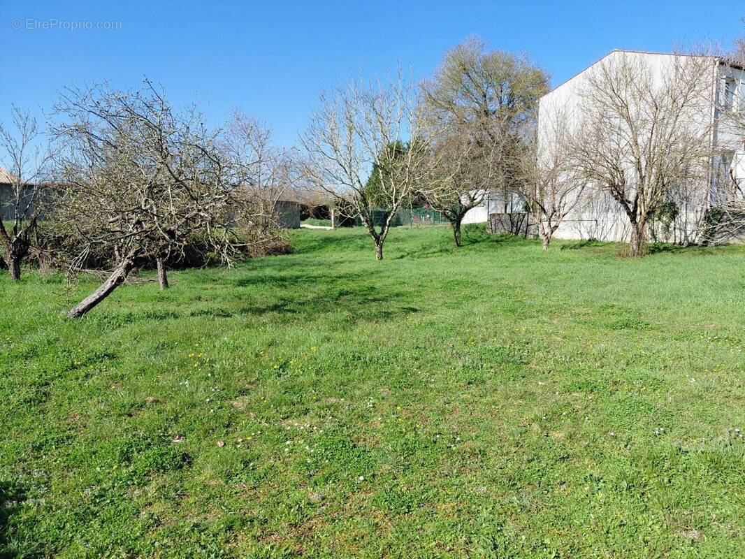 Terrain à SAINT-AGNANT