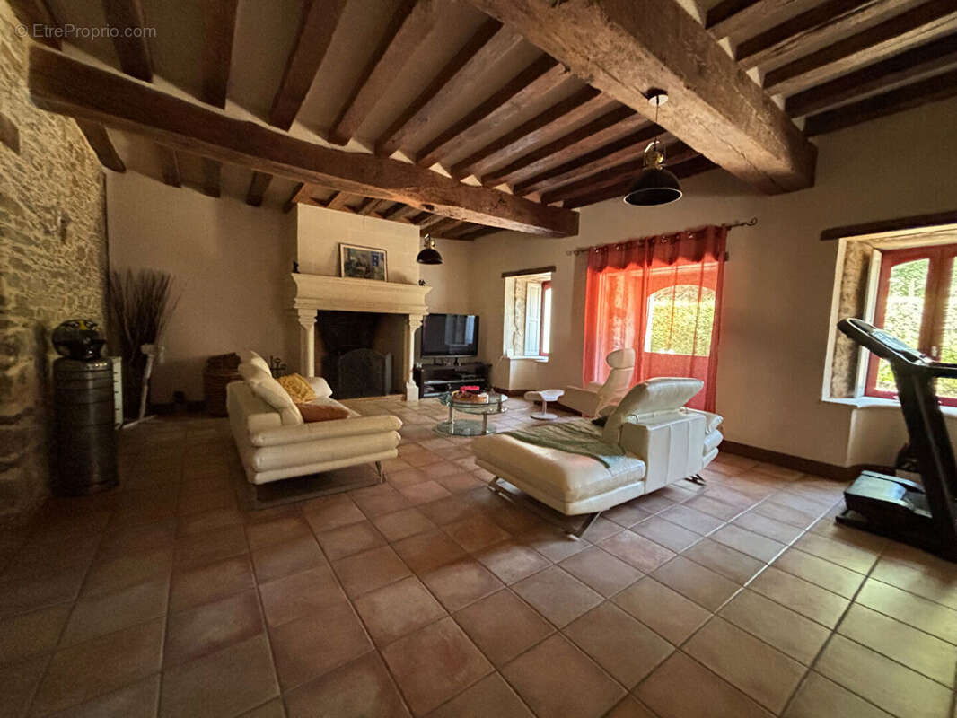 Segre en anjou bleu maison de 294 m² - photo 3