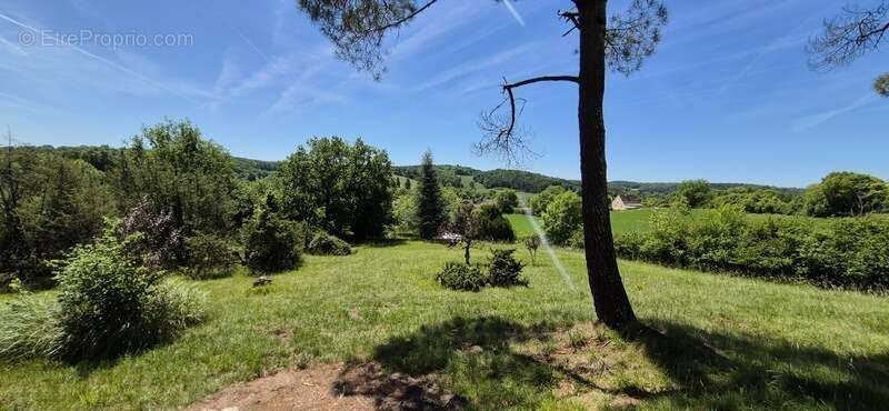 Maison à vendre 5 pièces MONTAGNAC LA CREMPSE (24) - photo 9