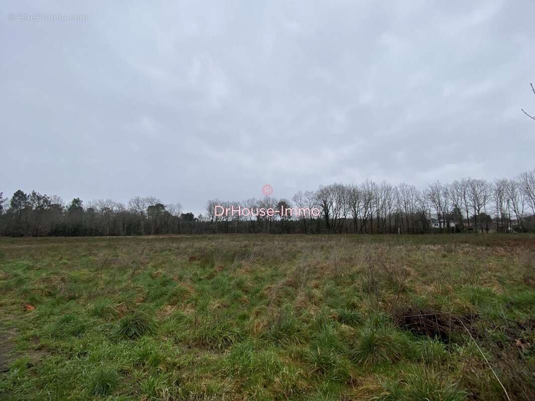 Terrain à SAINT-MEDARD-EN-JALLES