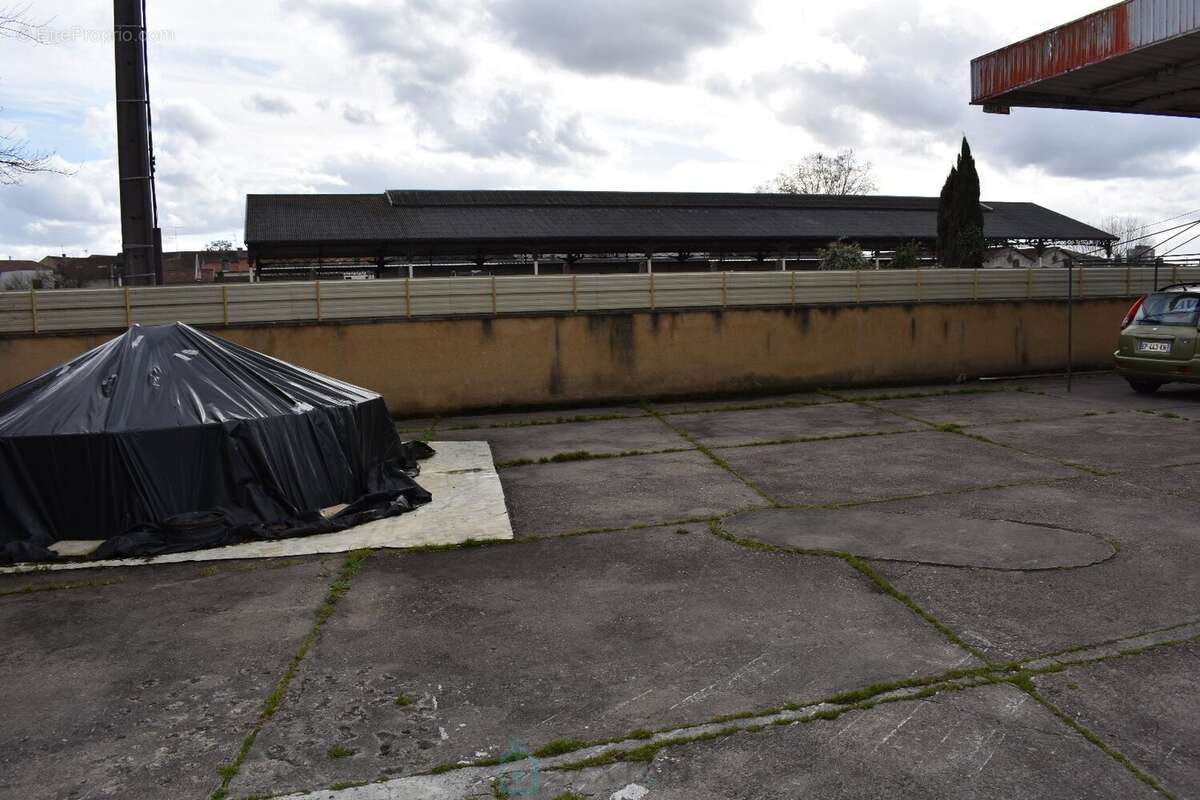 Viager libre une tete rente 3500 euros - photo 5
