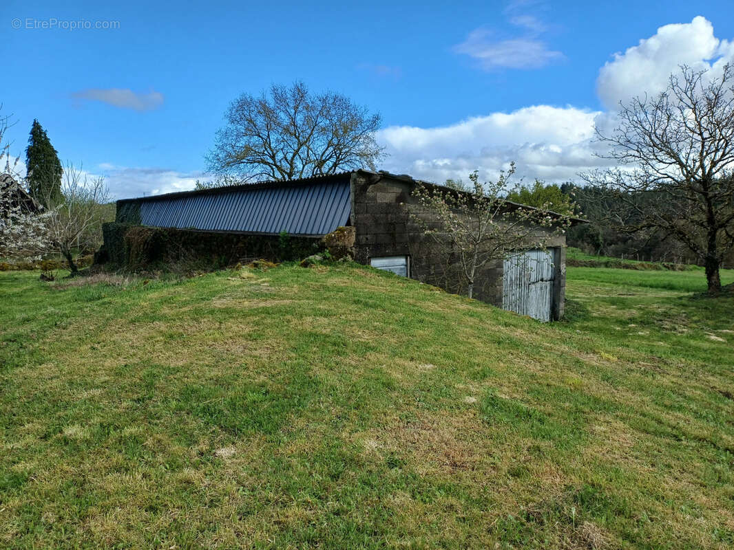 Terrain à MERCOEUR