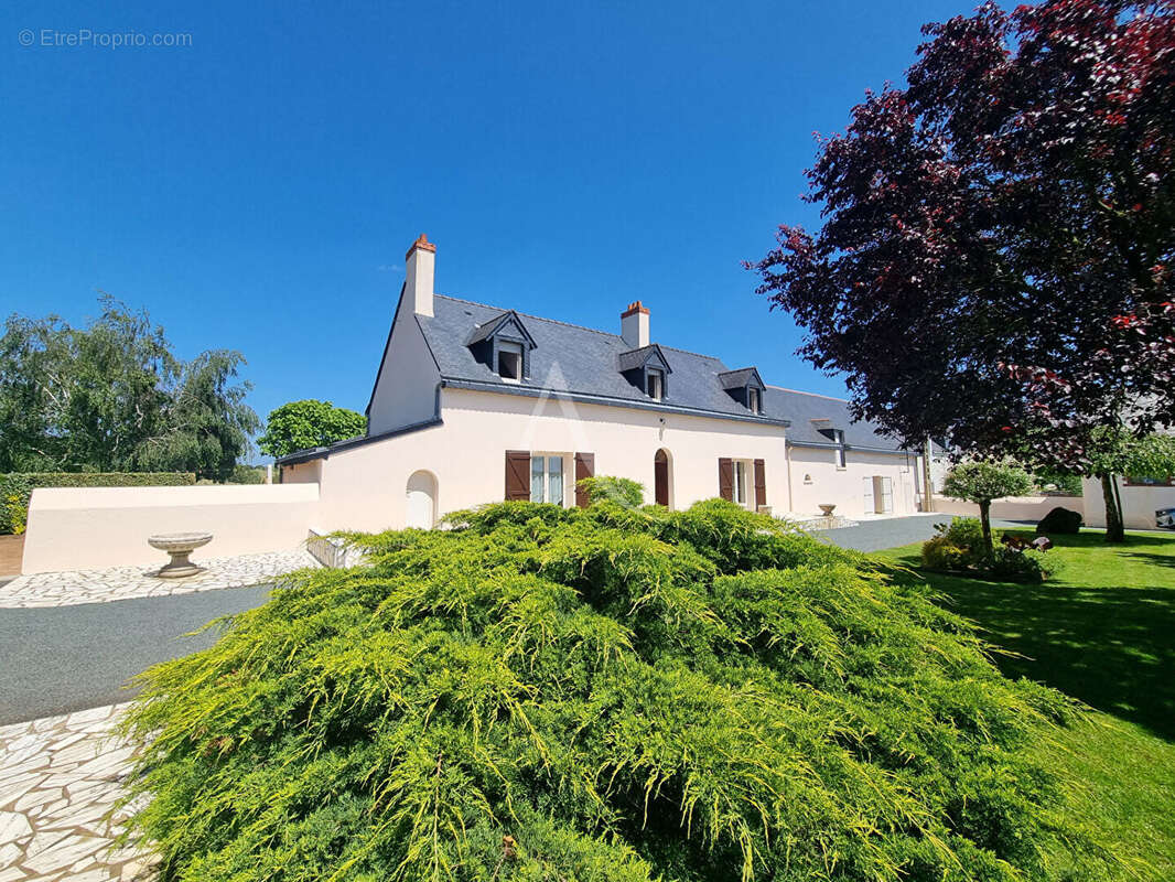Maison à SAINT-GEORGES-SUR-LOIRE