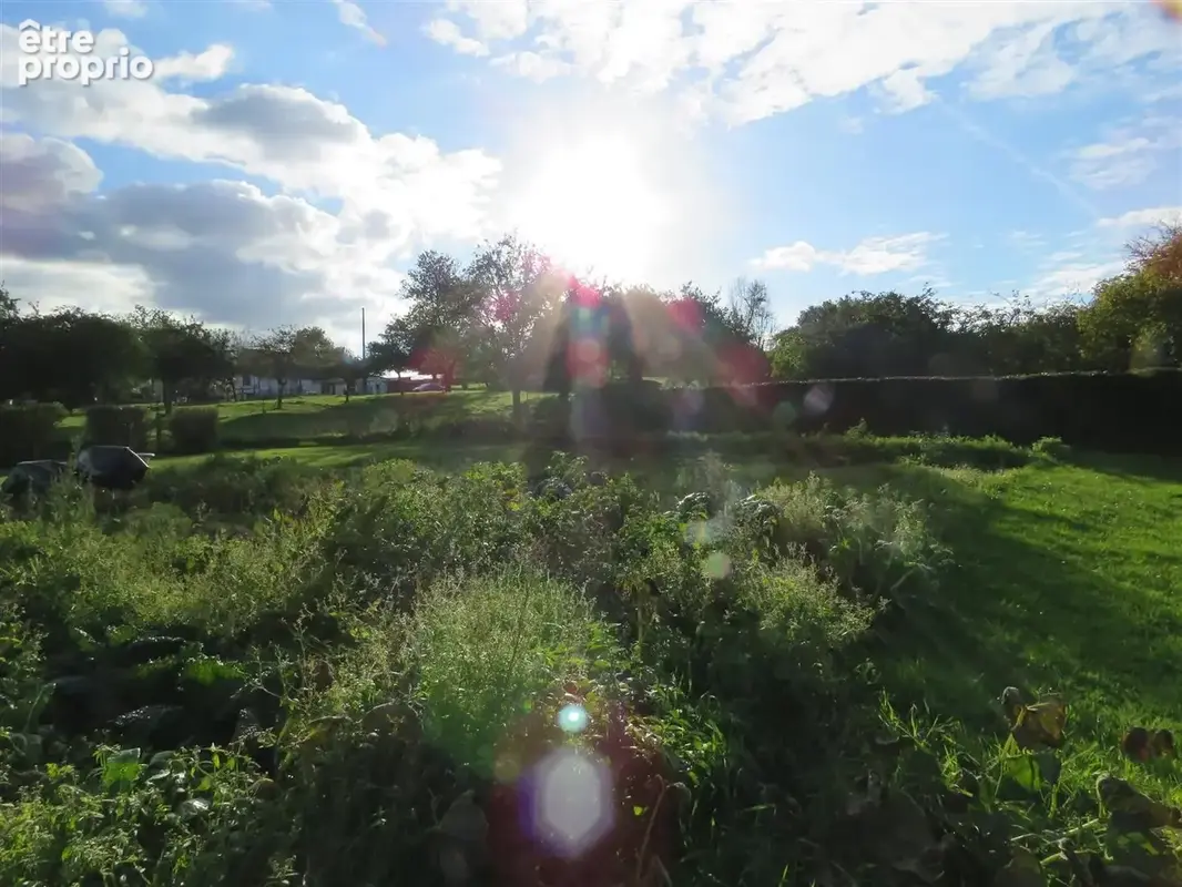 propriété sur 1ha au fond d'un chemin au grand calme... - photo 23