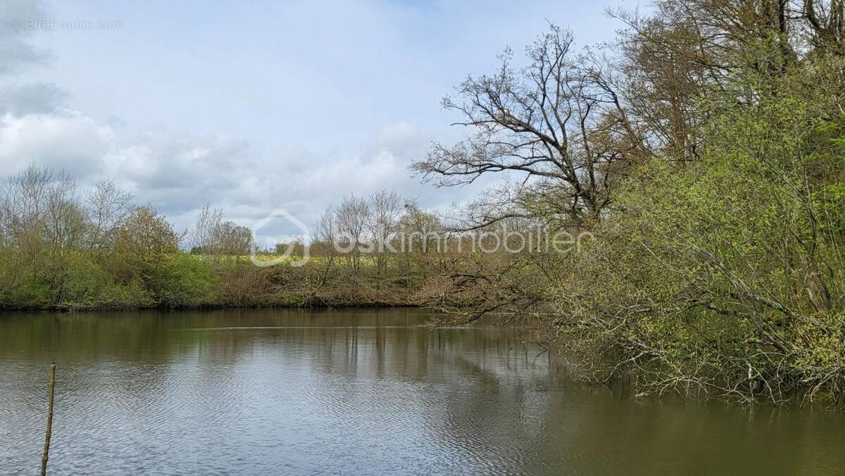 Terrain à LA CHAPELLE-AU-RIBOUL