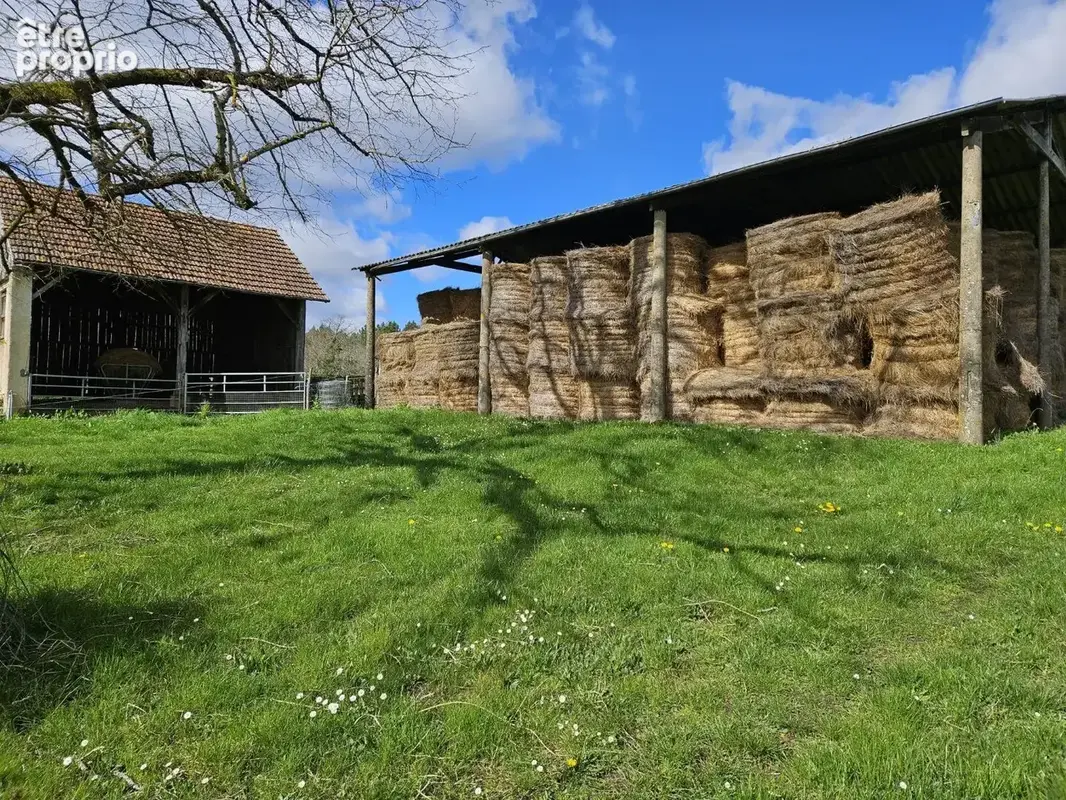 Corps de ferme en pierre - Un coin de paradis pour les amoureux de nature et de liberté - photo 3