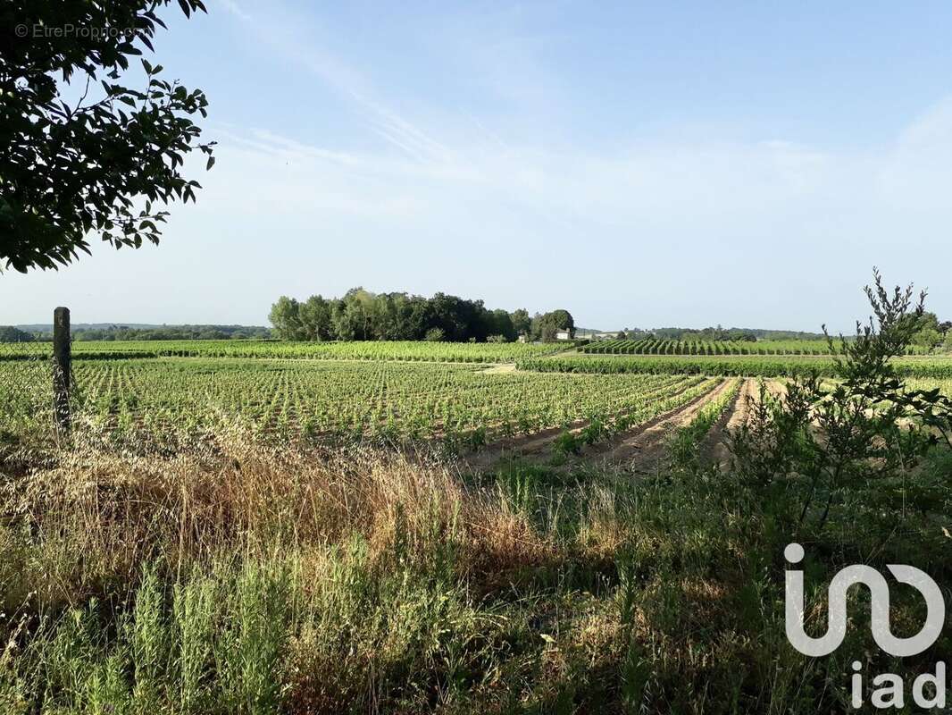 Photo 2 - Terrain à SAINT-GERMAIN-DU-PUCH