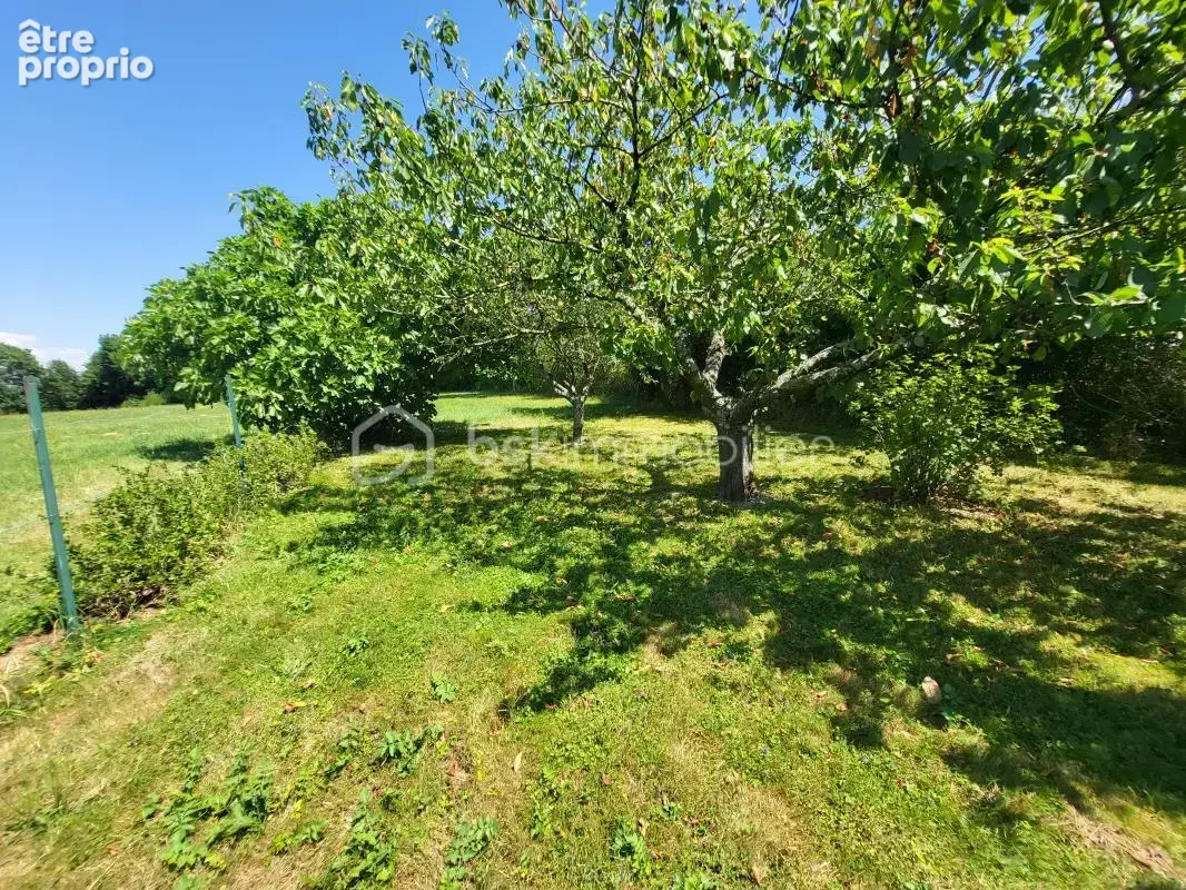 Maison T8 197 m2 terrain 1 ah - photo 15