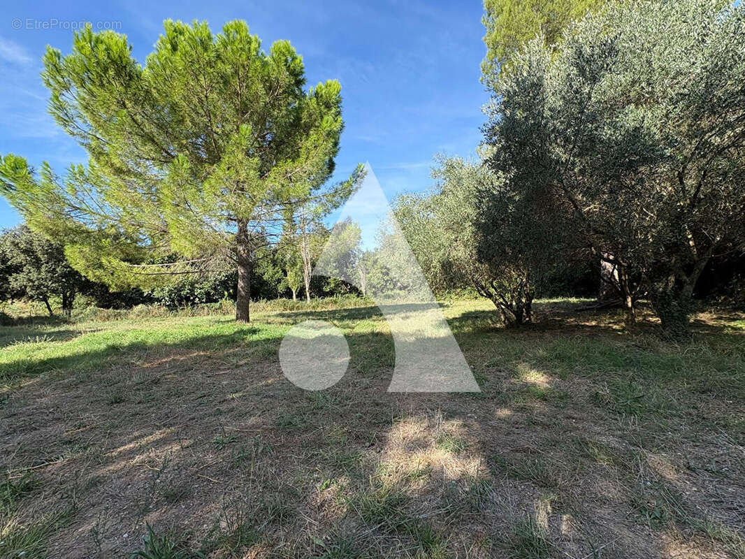 Terrain à LE POUGET