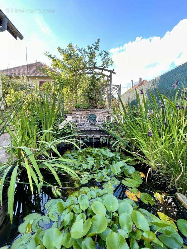 Maison à GRIESHEIM-SUR-SOUFFEL