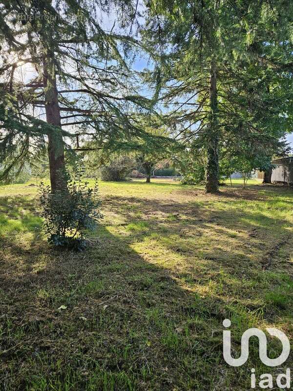 Photo 4 - Terrain à COUTRAS