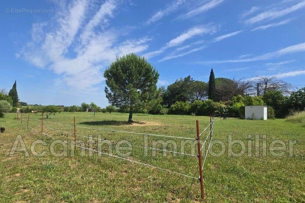 Maison 141 m² à Lunel-Viel  - photo 5