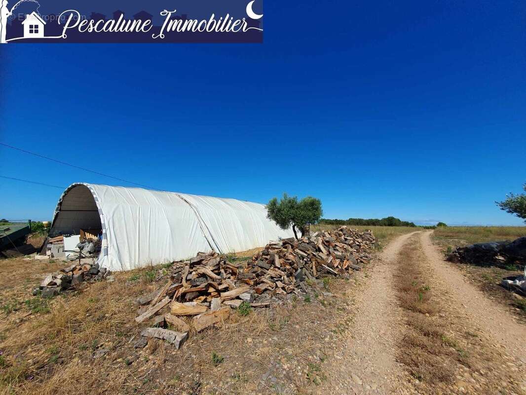 Propriété viticole 10 ha  Villa 95 m²  Vignes AOC - photo 7
