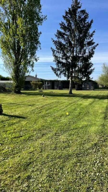 Photo 2 - Terrain à CISSAC-MEDOC