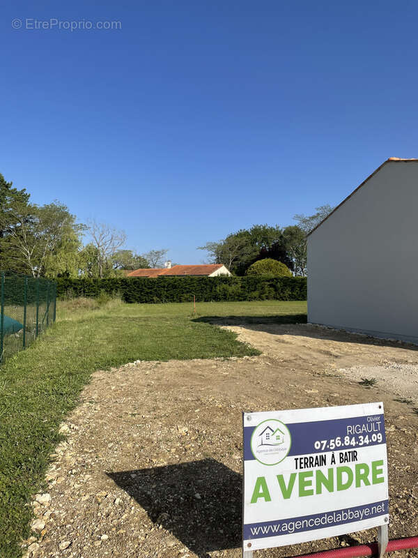 Terrain à SAINT-SAVINIEN