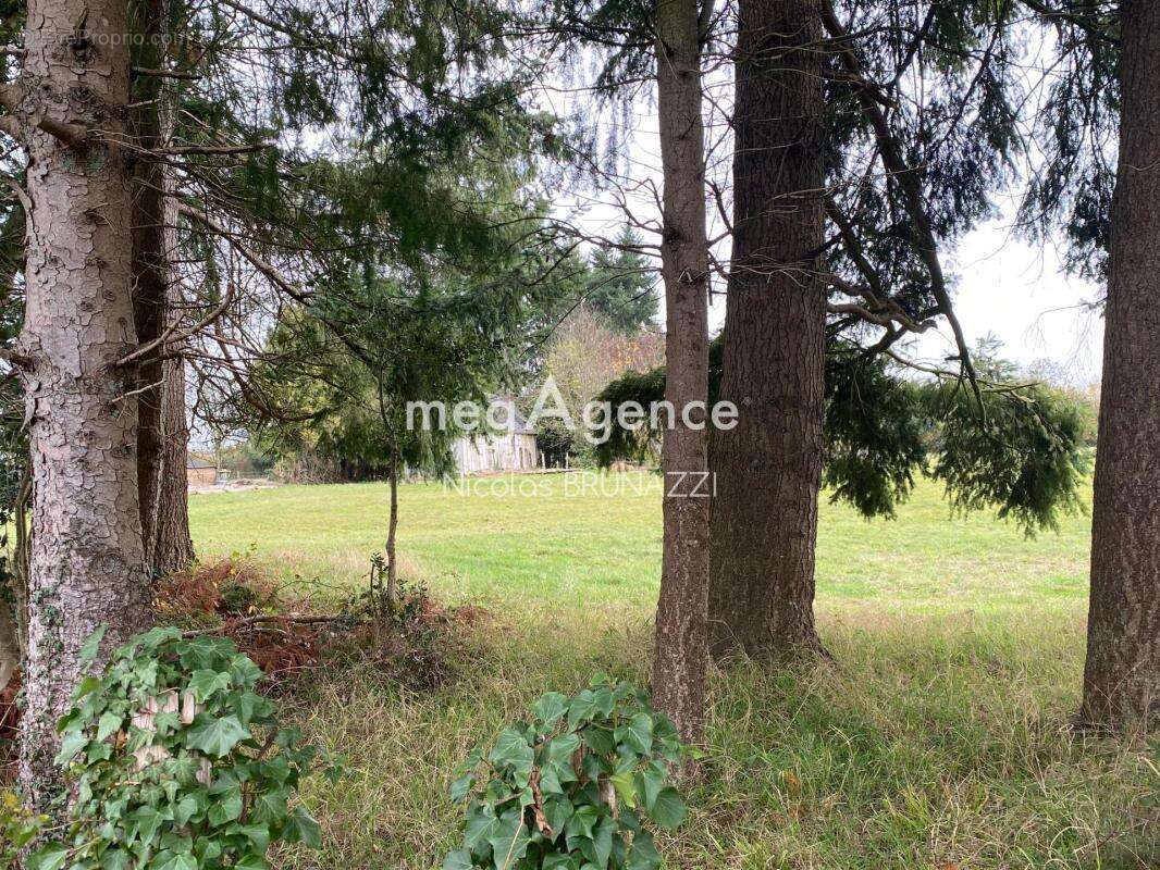 Terrain à NEUVILLE-SUR-TOUQUES