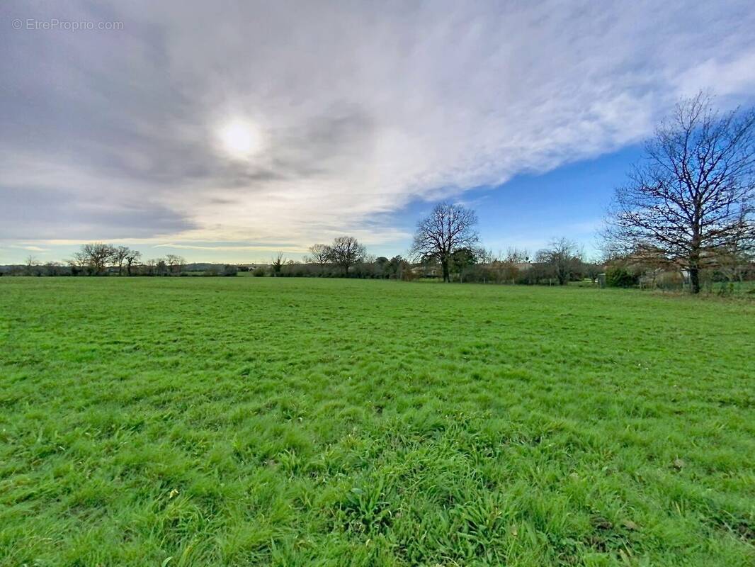 Terrain à SAINT-SULPICE