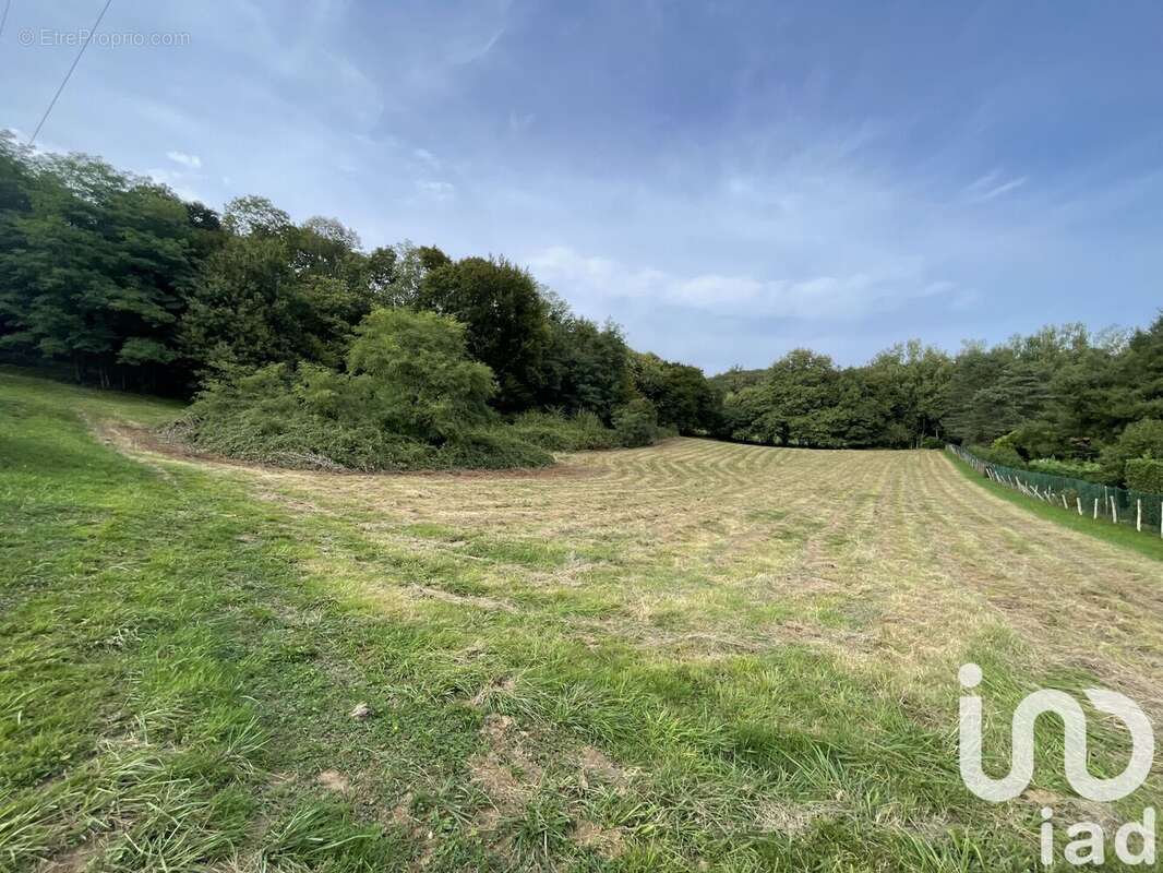 Photo 2 - Terrain à NEUVILLE-SUR-AIN