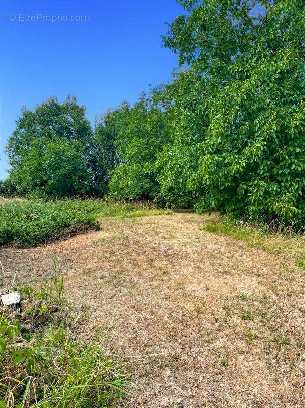 Chateaumeillant  Longère idéale pour vos projets - photo 11