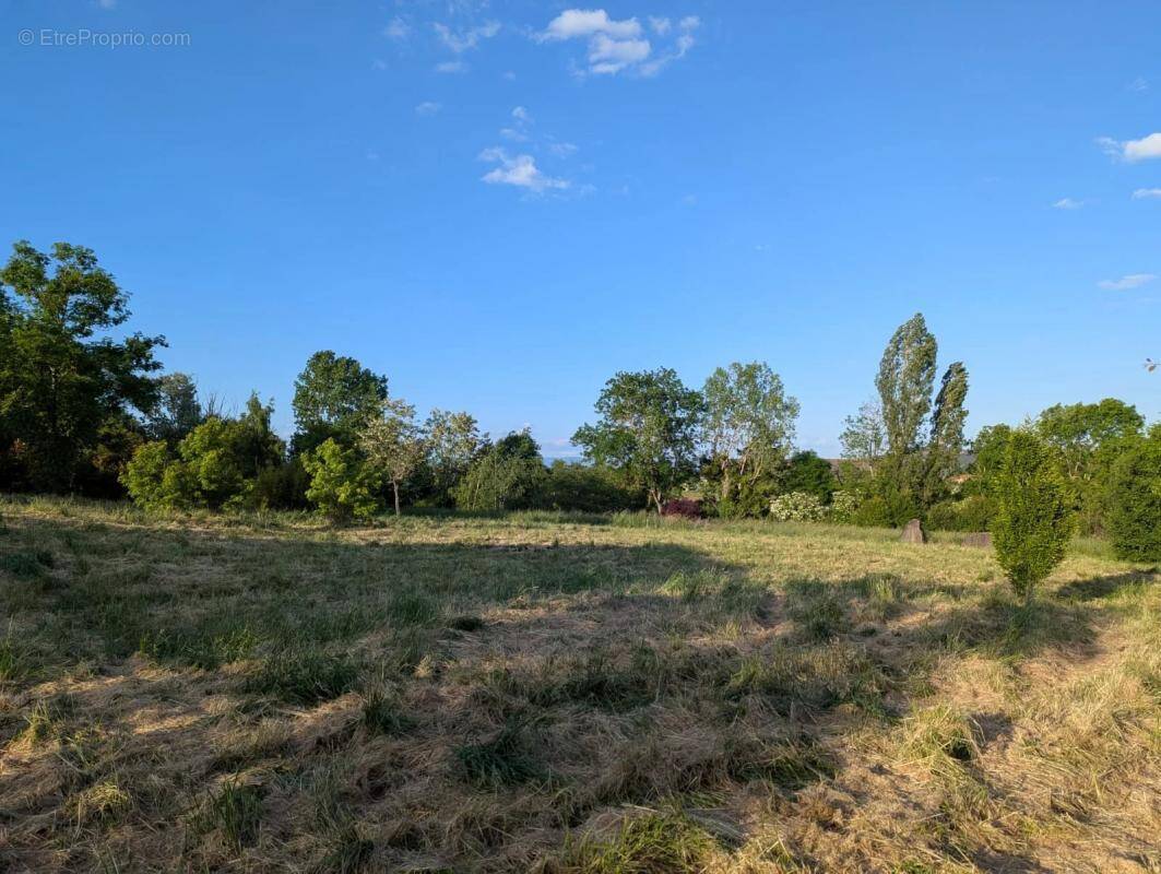 Terrain à MONTBRISON