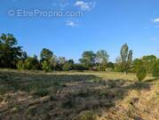 Terrain à MONTBRISON