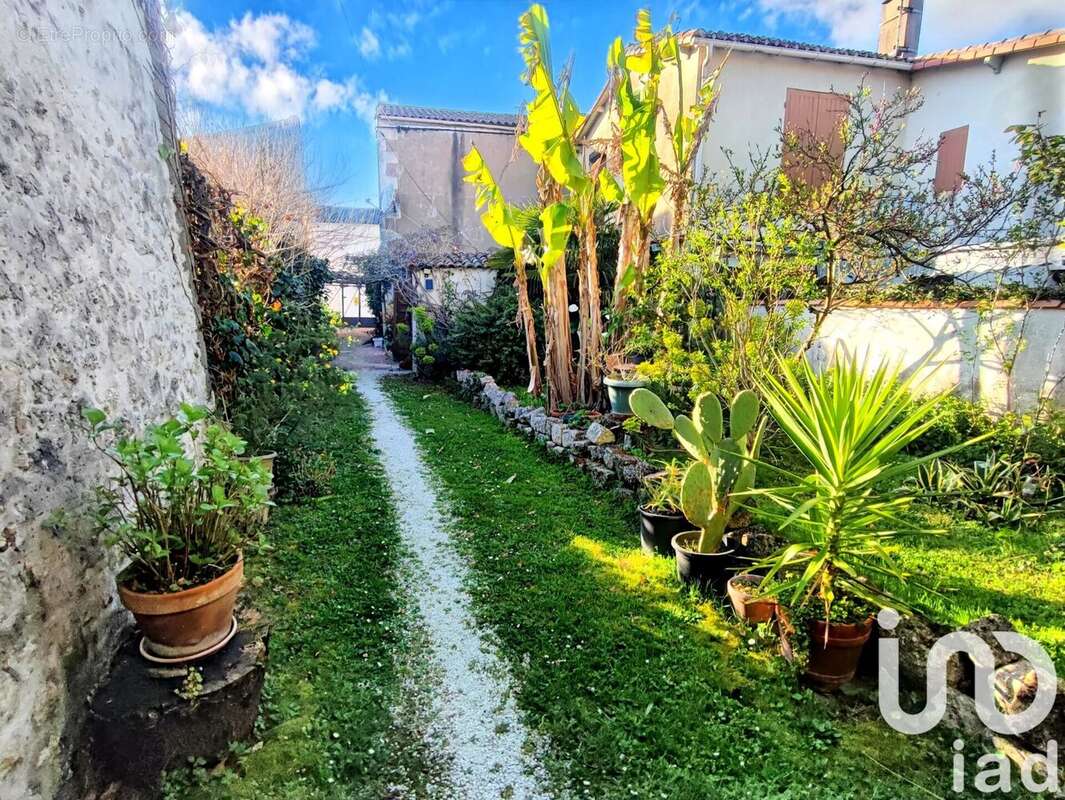 Photo 3 - Appartement à SAUJON