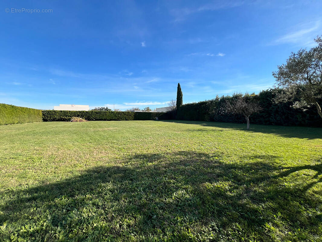 Terrain à ENTRAIGUES-SUR-LA-SORGUE