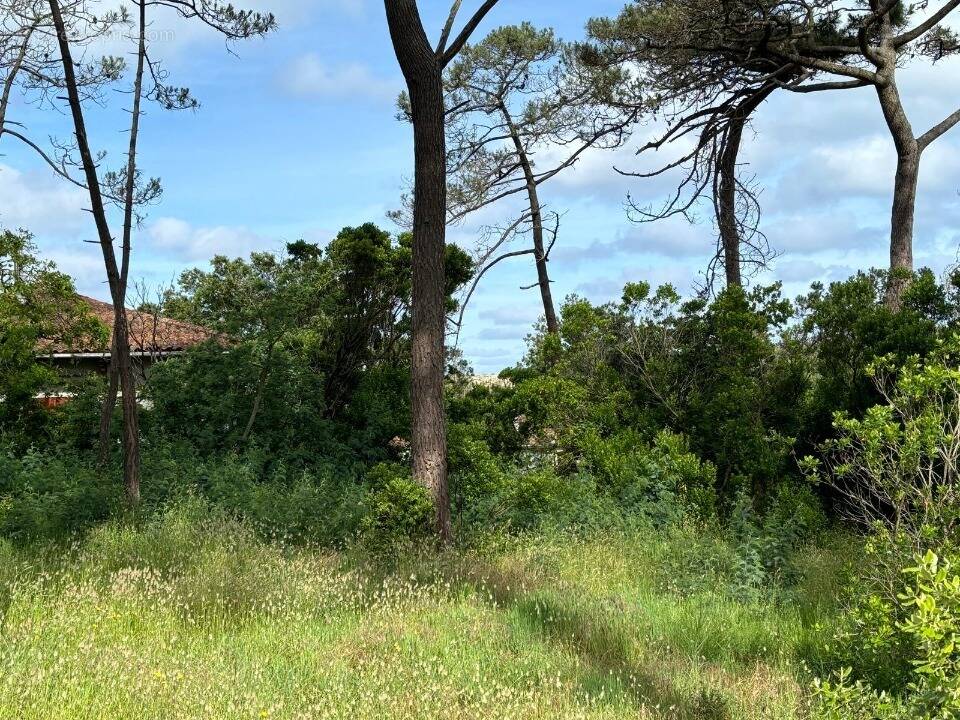 Terrain à ANDERNOS-LES-BAINS
