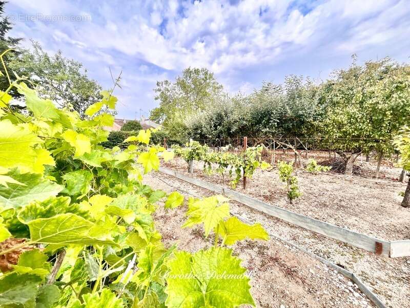 Maison à BEAUVOIR-SUR-NIORT