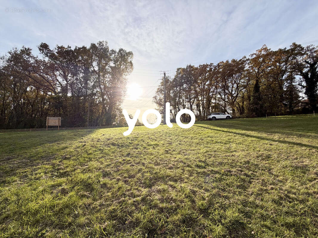 Terrain à MILHAC-D&#039;AUBEROCHE