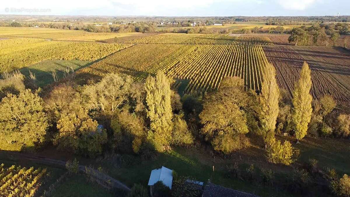 Maison à SAINT-LAMBERT-DU-LATTAY