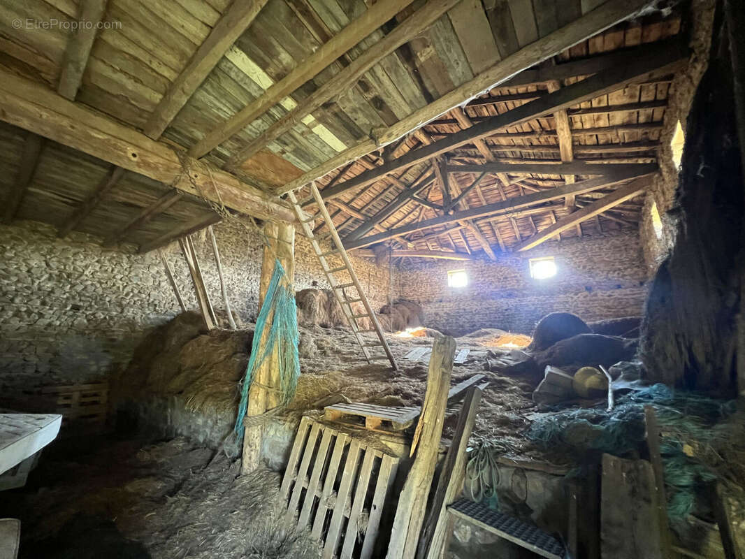 Photo 9 - Maison à CUBLIZE