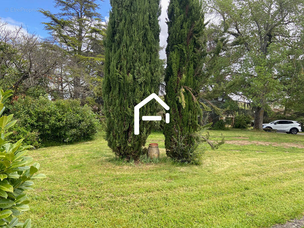 Terrain à SAINT-HILAIRE